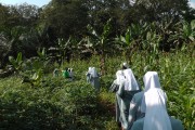 foto06.jpg